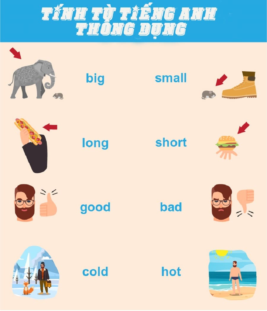các bước đơn giản để học tính từ
